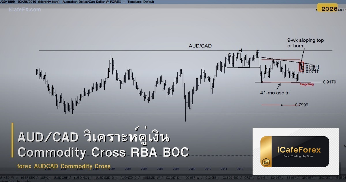 AUD/CAD วิเคราะห์คู่เงิน Commodity Cross RBA BOC