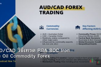 AUD/CAD วิธีเทรด RBA BOC Iron Ore Oil Commodity Forex