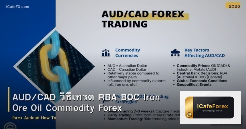 AUD/CAD วิธีเทรด RBA BOC Iron Ore Oil Commodity Forex