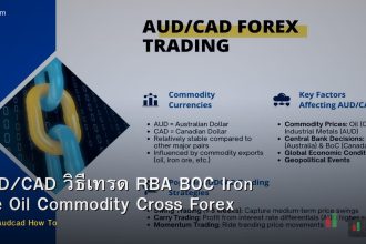 AUD/CAD วิธีเทรด RBA BOC Iron Ore Oil Commodity Cross Forex