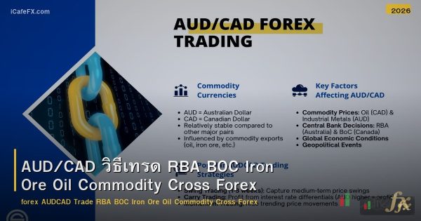 AUD/CAD วิธีเทรด RBA BOC Iron Ore Oil Commodity Cross Forex