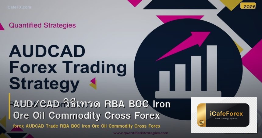 AUD/CAD วิธีเทรด RBA BOC Iron Ore Oil Commodity Cross Forex