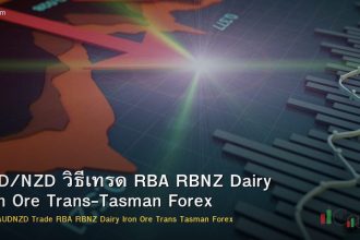 AUD/NZD วิธีเทรด RBA RBNZ Dairy Iron Ore Trans-Tasman Forex