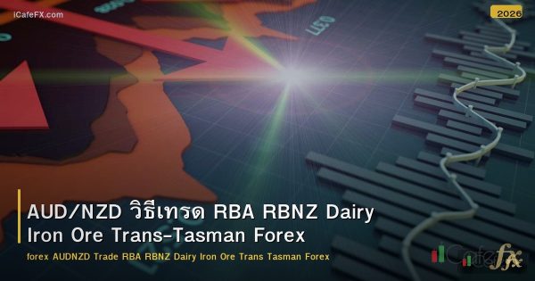 AUD/NZD วิธีเทรด RBA RBNZ Dairy Iron Ore Trans-Tasman Forex