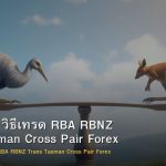 AUD/NZD วิธีเทรด RBA RBNZ Trans-Tasman Cross Pair Forex