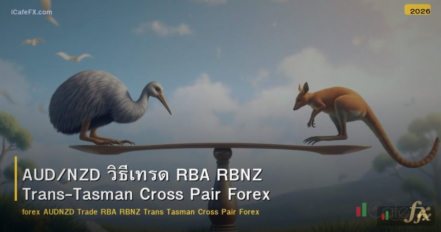AUD/NZD วิธีเทรด RBA RBNZ Trans-Tasman Cross Pair Forex