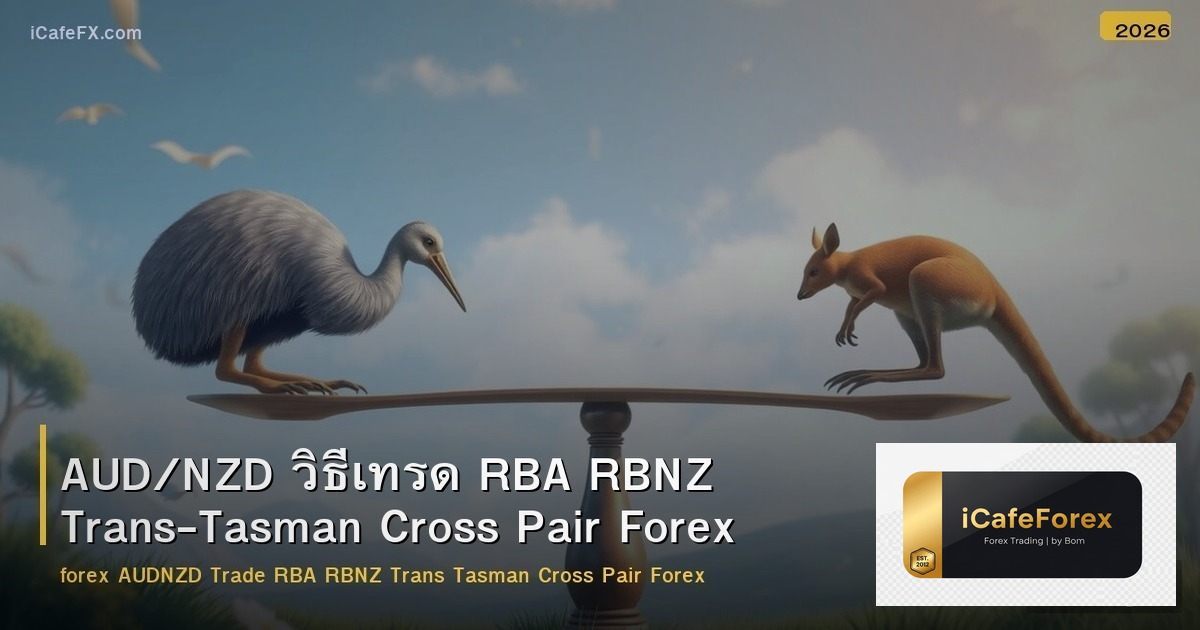 AUD/NZD วิธีเทรด RBA RBNZ Trans-Tasman Cross Pair Forex