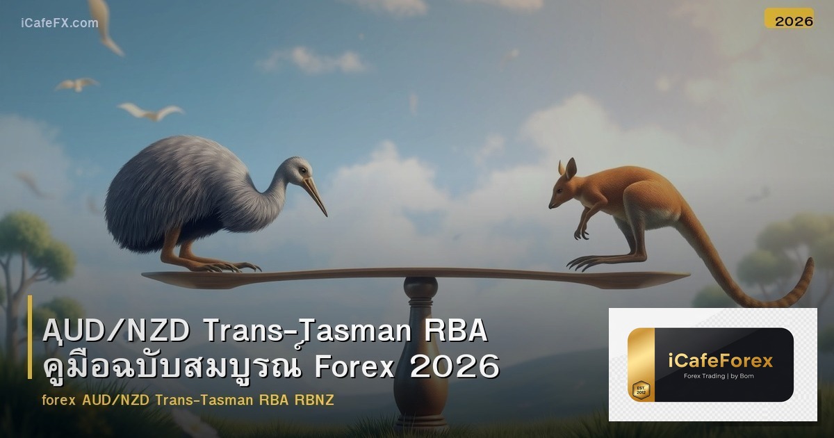 AUD/NZD Trans-Tasman RBA คู่มือฉบับสมบูรณ์ Forex 2026