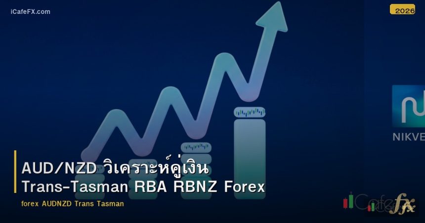 AUD/NZD วิเคราะห์คู่เงิน Trans-Tasman RBA RBNZ Forex