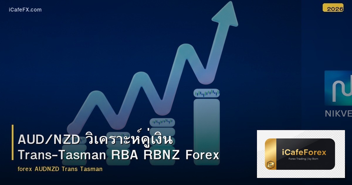 AUD/NZD วิเคราะห์คู่เงิน Trans-Tasman RBA RBNZ Forex