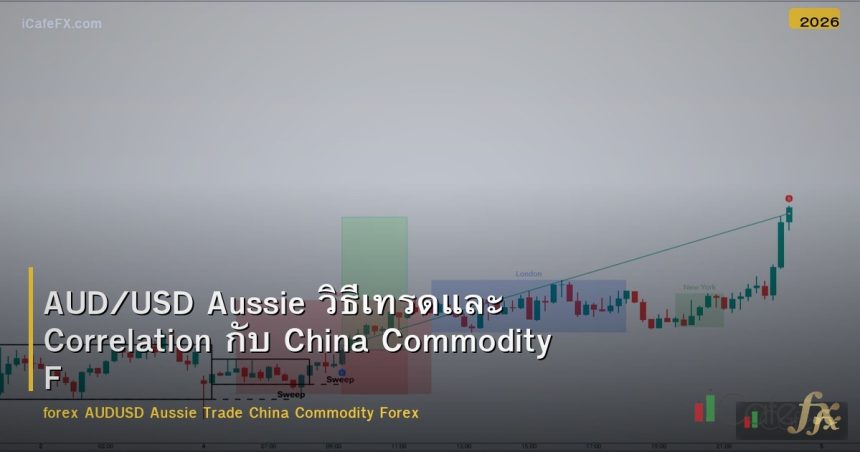 AUD/USD Aussie วิธีเทรดและ Correlation กับ China Commodity Forex