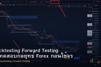 Backtesting Forward Testing วิธีทดสอบกลยุทธ์ Forex ก่อนใช้จริง