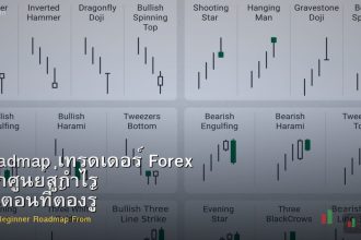 Roadmap เทรดเดอร์ Forex จากศูนย์สู่กำไร ขั้นตอนที่ต้องรู้