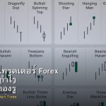 Roadmap เทรดเดอร์ Forex จากศูนย์สู่กำไร ขั้นตอนที่ต้องรู้