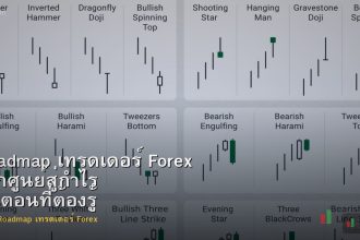 Roadmap เทรดเดอร์ Forex จากศูนย์สู่กำไร ขั้นตอนที่ต้องรู้