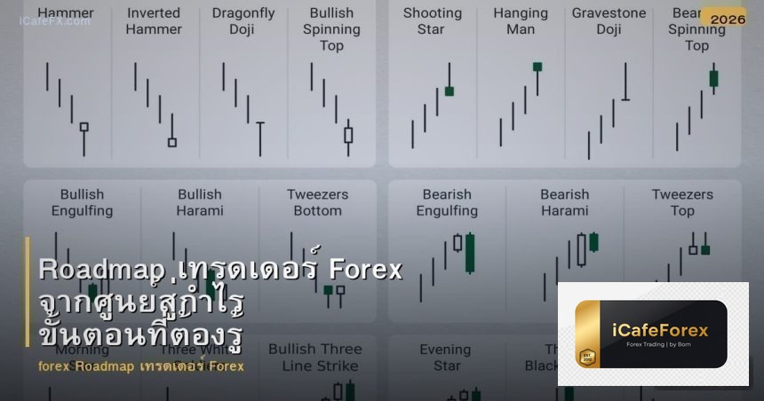 Roadmap เทรดเดอร์ Forex จากศูนย์สู่กำไร ขั้นตอนที่ต้องรู้