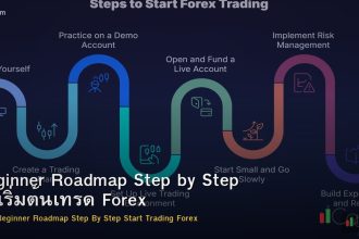 Beginner Roadmap Step by Step วิธีเริ่มต้นเทรด Forex