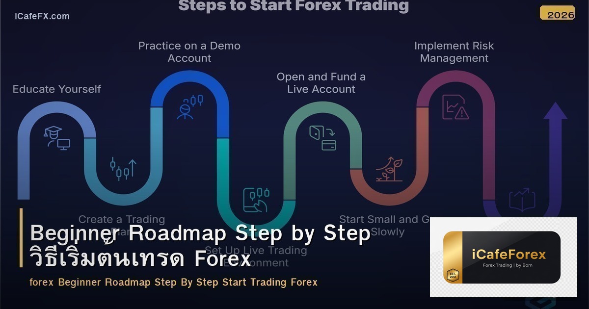Beginner Roadmap Step by Step วิธีเริ่มต้นเทรด Forex