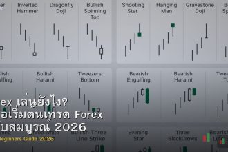 Forex เล่นยังไง? คู่มือเริ่มต้นเทรด Forex ฉบับสมบูรณ์ 2026