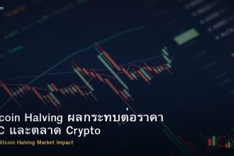 Bitcoin Halving ผลกระทบต่อราคา BTC และตลาด Crypto