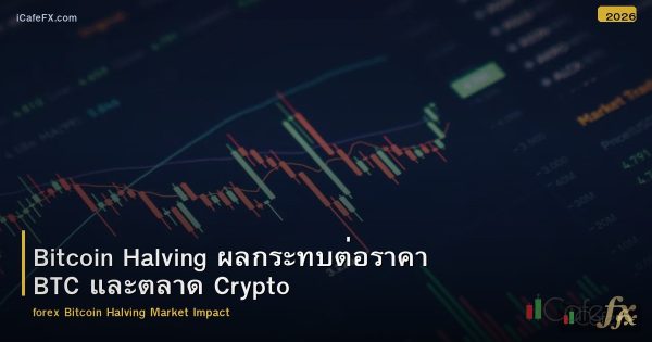 Bitcoin Halving ผลกระทบต่อราคา BTC และตลาด Crypto