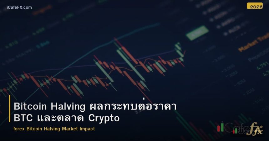Bitcoin Halving ผลกระทบต่อราคา BTC และตลาด Crypto