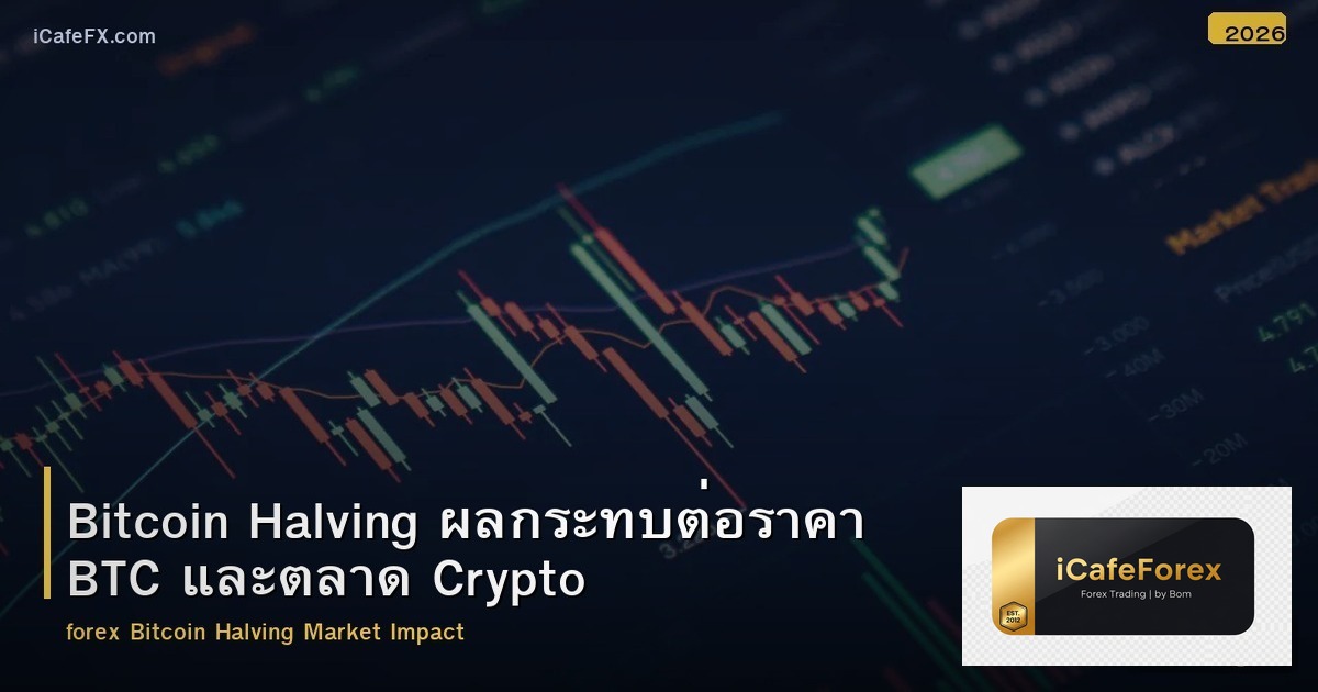 Bitcoin Halving ผลกระทบต่อราคา BTC และตลาด Crypto
