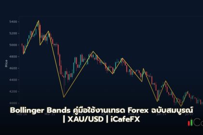 Bollinger Bands คู่มือใช้งานเทรด Forex ฉบับสมบูรณ์