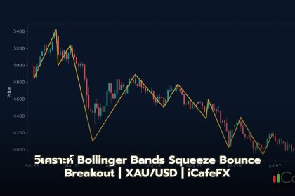 Bollinger Bands วิธีใช้ Squeeze Bounce Breakout Forex
