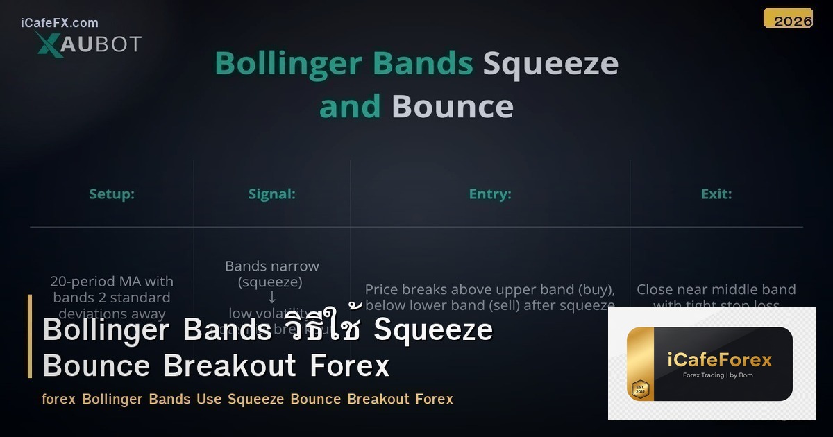 Bollinger Bands วิธีใช้ Squeeze Bounce Breakout Forex