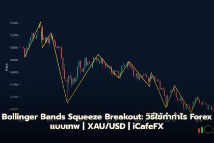 Bollinger Bands วิธีใช้ Squeeze Breakout Forex