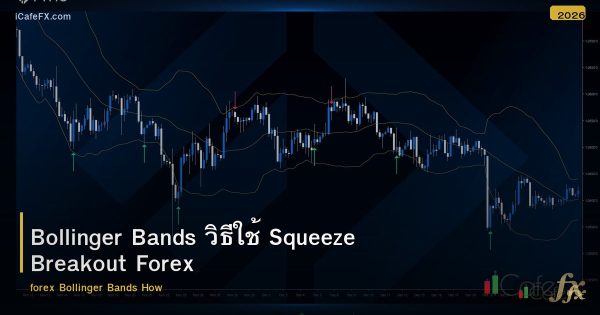 Bollinger Bands วิธีใช้ Squeeze Breakout Forex