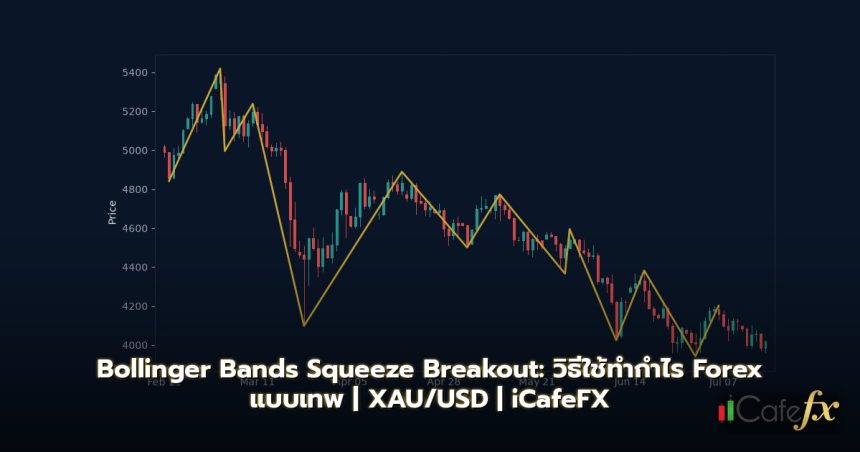 Bollinger Bands วิธีใช้ Squeeze Breakout Forex