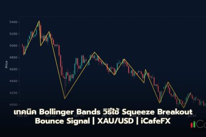 เทคนิค Bollinger Bands วิธีใช้ Squeeze Breakout Bounce Signal