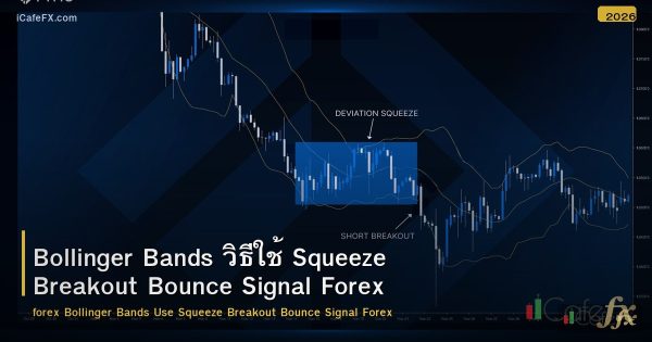 Bollinger Bands วิธีใช้ Squeeze Breakout Bounce Signal Forex