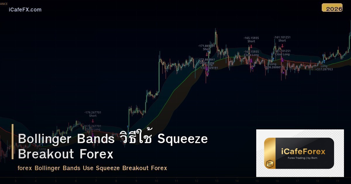 Bollinger Bands วิธีใช้ Squeeze Breakout Forex