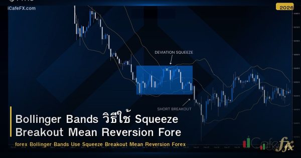 Bollinger Bands วิธีใช้ Squeeze Breakout Mean Reversion Forex