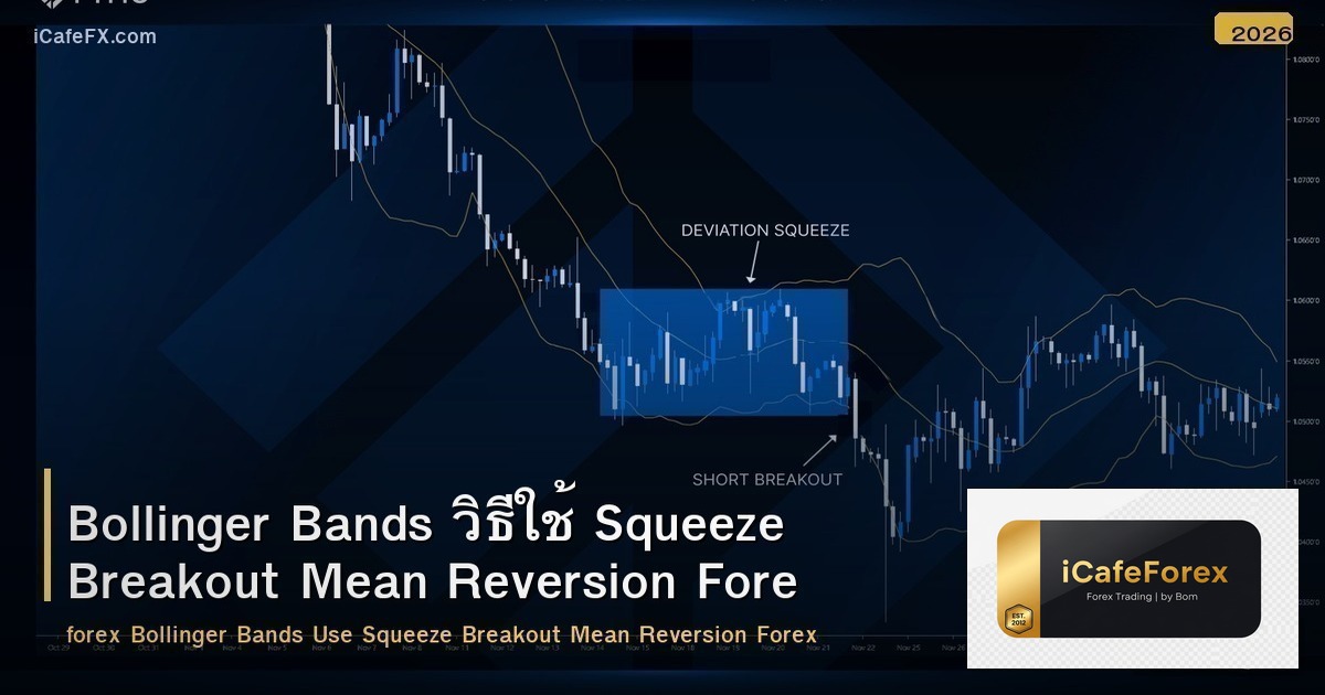 Bollinger Bands วิธีใช้ Squeeze Breakout Mean Reversion Forex
