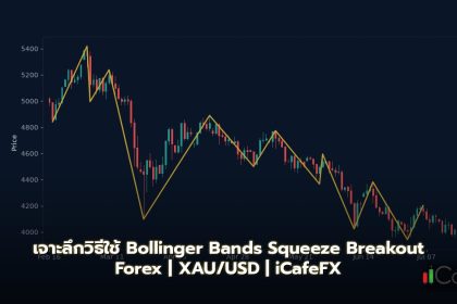 เจาะลึกวิธีใช้ Bollinger Bands Squeeze Breakout Forex