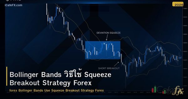 Bollinger Bands วิธีใช้ Squeeze Breakout Strategy Forex