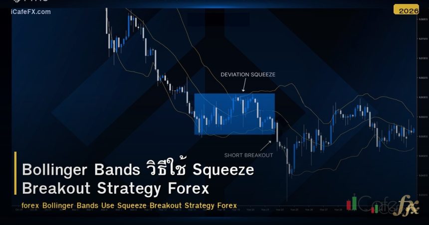 Bollinger Bands วิธีใช้ Squeeze Breakout Strategy Forex
