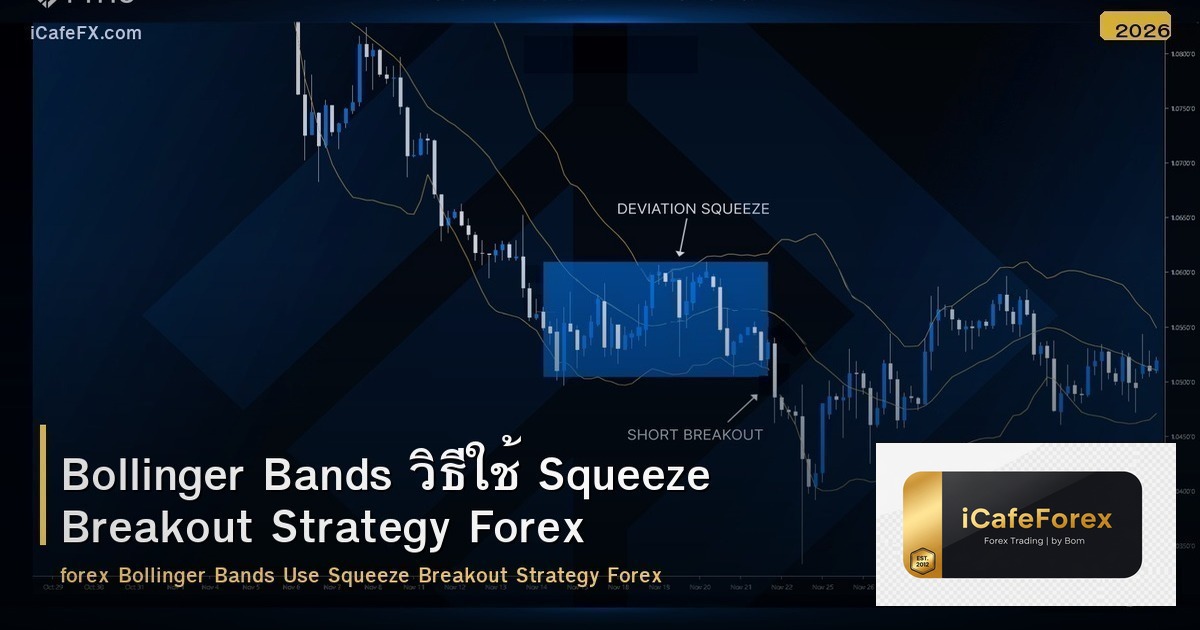 Bollinger Bands วิธีใช้ Squeeze Breakout Strategy Forex