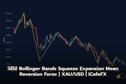 Bollinger Bands วิธีใช้ Squeeze Expansion Mean Reversion Forex