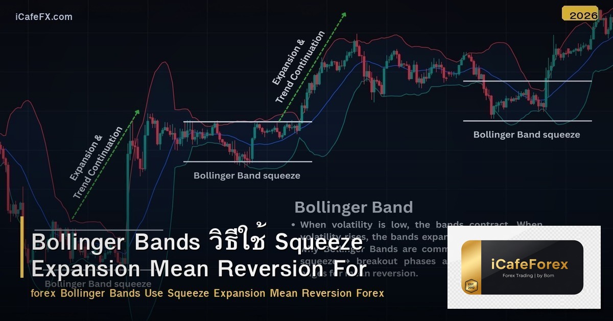 Bollinger Bands วิธีใช้ Squeeze Expansion Mean Reversion Forex