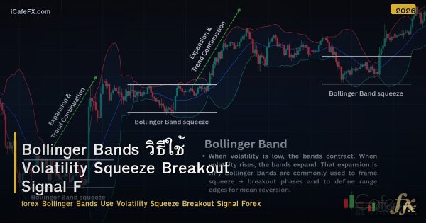 Bollinger Bands วิธีใช้ Volatility Squeeze Breakout Signal Forex