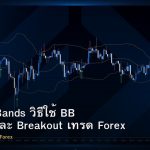 Bollinger Bands วิธีใช้ BB Squeeze และ Breakout เทรด Forex