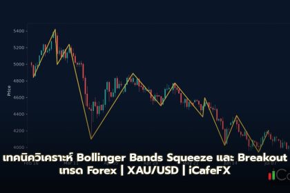 Bollinger Bands วิธีใช้ BB Squeeze และ Breakout เทรด Forex