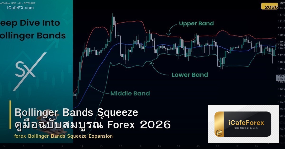 Bollinger Bands Squeeze คู่มือฉบับสมบูรณ์ Forex 2026