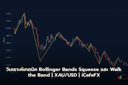 Bollinger Bands วิธีเทรด Squeeze Expansion Walk the Band