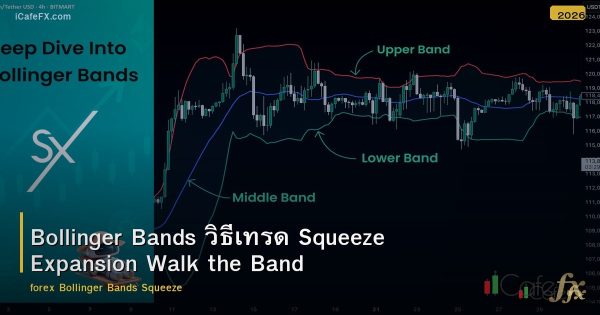 Bollinger Bands วิธีเทรด Squeeze Expansion Walk the Band